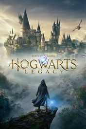 Cover art for Hogwarts Leggacy, wizard looking at castle with turrets